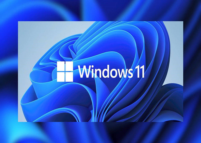 Пакет TPM 2,0 Microsoft Windows 11 ключа лицензии OEM DVD Windows UEFI полный Pro