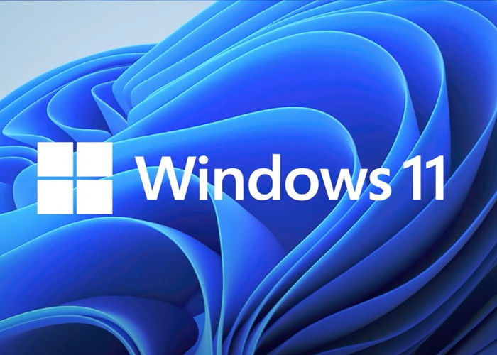 OEM Microsoft Windows 11 Professional Operating System License Proprietary Commercial Software Designed for Secure and Business Operations